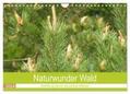 Vier |  Naturwunder Wald (Wandkalender 2024 DIN A4 quer), CALVENDO Monatskalender | Sonstiges |  Sack Fachmedien