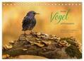Herzog |  Bunte Vögel am Futterplatz (Tischkalender 2024 DIN A5 quer), CALVENDO Monatskalender | Sonstiges |  Sack Fachmedien