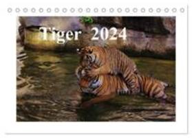 Hennig | Tiger 2024 (Tischkalender 2024 DIN A5 quer), CALVENDO Monatskalender | Sonstiges | 978-3-675-63874-7 | sack.de
