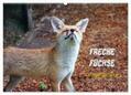 Kersten |  Freche Füchse - lustige Sprüche (Wandkalender 2024 DIN A2 quer), CALVENDO Monatskalender | Sonstiges |  Sack Fachmedien