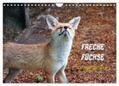 Kersten |  Freche Füchse - lustige Sprüche (Wandkalender 2024 DIN A4 quer), CALVENDO Monatskalender | Sonstiges |  Sack Fachmedien
