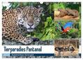 und Yvonne Herzog |  Tierparadies Pantanal (Wandkalender 2024 DIN A3 quer), CALVENDO Monatskalender | Sonstiges |  Sack Fachmedien