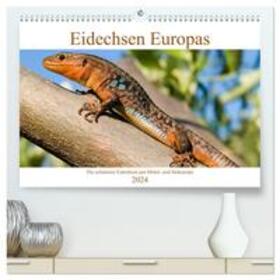 Simlinger | Eidechsen Europas (hochwertiger Premium Wandkalender 2024 DIN A2 quer), Kunstdruck in Hochglanz | Sonstiges | 978-3-675-73471-5 | sack.de