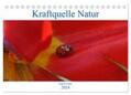 Franz |  Kraftquelle Natur (Tischkalender 2024 DIN A5 quer), CALVENDO Monatskalender | Sonstiges |  Sack Fachmedien
