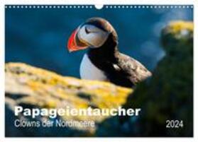 Wagner | PAPAGEIENTAUCHER - Clowns der Nordmeere (Wandkalender 2024 DIN A3 quer), CALVENDO Monatskalender | Sonstiges | 978-3-675-75668-7 | sack.de