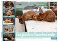 Maas |  Eine glückliche Kaninchenfamilie (Wandkalender 2024 DIN A3 quer), CALVENDO Monatskalender | Sonstiges |  Sack Fachmedien