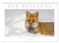 Breuer |  Der Rotfuchs (Tischkalender 2024 DIN A5 quer), CALVENDO Monatskalender | Sonstiges |  Sack Fachmedien