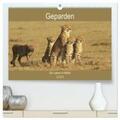Herzog |  Geparden - Ein Leben in Afrika (hochwertiger Premium Wandkalender 2024 DIN A2 quer), Kunstdruck in Hochglanz | Sonstiges |  Sack Fachmedien