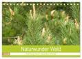 Vier |  Naturwunder Wald (Tischkalender 2024 DIN A5 quer), CALVENDO Monatskalender | Sonstiges |  Sack Fachmedien