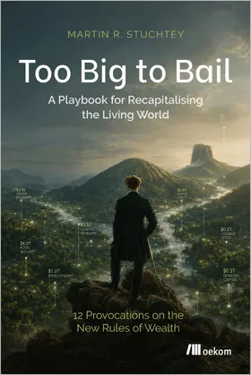 Stuchtey |  Too big to bail | Buch |  Sack Fachmedien