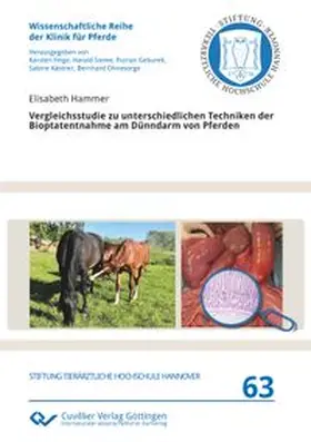 Hammer |  Vergleichsstudie zu unterschiedlichen Techniken der Bioptatentnahme am Dünndarm von Pferden | Buch |  Sack Fachmedien