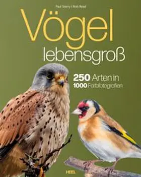 Sterry / Read |  Vögel lebensgroß | Buch |  Sack Fachmedien