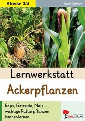 Gutjahr | Lernwerkstatt Ackerpflanzen | Buch | 978-3-69257-511-7 | www.sack.de