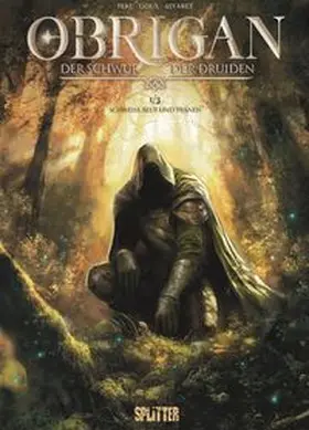 Peru |  Obrigan. Band 1 - Der Schwur der Druiden | Buch |  Sack Fachmedien