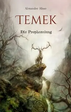 Risse |  Temek | eBook | Sack Fachmedien