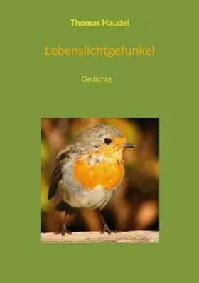 Haudel |  Lebenslichtgefunkel | Buch |  Sack Fachmedien