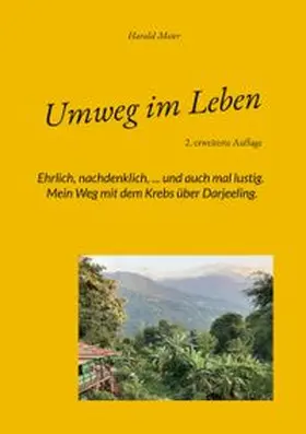 Meier |  Umweg im Leben | Buch |  Sack Fachmedien