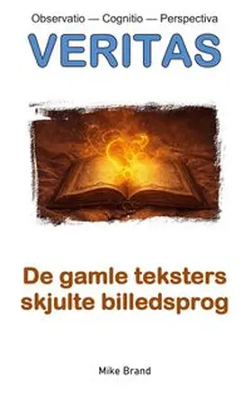 Brand |  De gamle teksters skjulte billedsprog | Buch |  Sack Fachmedien
