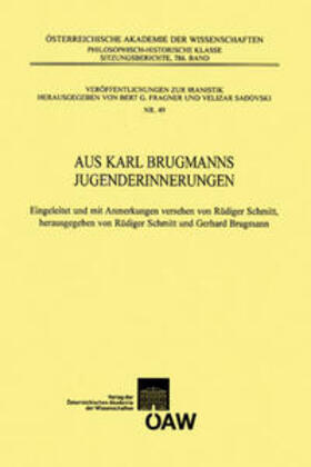Schmitt / Brugmann |  Aus Karl Brugmanns Jugenderinnerungen | Buch |  Sack Fachmedien
