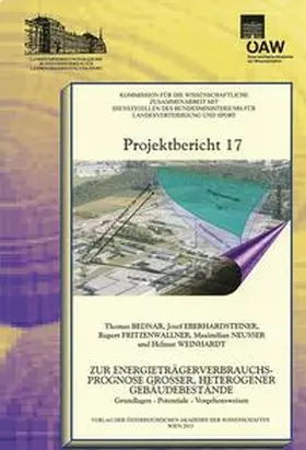 Sünkel / Fritzenwallner / Eberhardsteiner |  Zur Energieträgerverbrauchsprognose großer, heterogener Gebäudebestände | Buch |  Sack Fachmedien