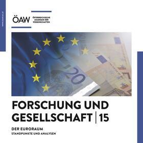 Schmitt | Der Euroraum | Buch | sack.de