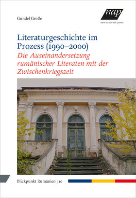 Große / Schippel / Richter | Literaturgeschichte im Prozess (1990-2000) | Buch | 978-3-7003-2103-3 | sack.de