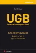 Zib / Dellinger |  UGB Unternehmensgesetzbuch Kommentar - Band 1/Teil 1 | Buch |  Sack Fachmedien
