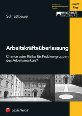 Schrattbauer |  Arbeitskräfteüberlassung | Buch |  Sack Fachmedien