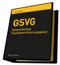 Ficzko / Schruf |  Praxiskommentar zum GSVG | Loseblattwerk |  Sack Fachmedien