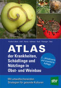Fischer-Colbrie / Groß / Hluchy |  Atlas der Krankheiten, Schädlinge+Nützlinge im Obst-+Weinbau | Buch |  Sack Fachmedien