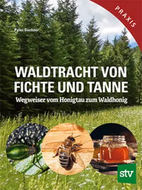 Buchner |  Waldtracht von Fichte und Tanne | eBook | Sack Fachmedien