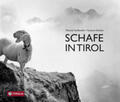 Schaber |  Schafe in Tirol | Buch |  Sack Fachmedien