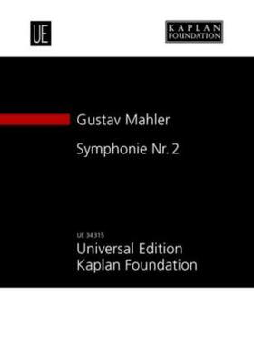 Kaplan / Stark-Voit |  Symphonie Nr. 2 | Buch |  Sack Fachmedien