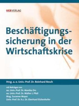 Drs / Eichenhofer / Pfeil | Beschäftigungssicherung in der Wirtschaftskrise | Buch | sack.de