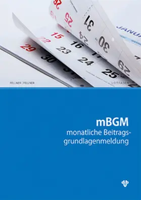 Fellner |  mBGM | Buch |  Sack Fachmedien