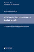 Bydlinski |  Prävention und Strafsanktion im Privatrecht | Buch |  Sack Fachmedien