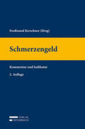 Kerschner / Kisslinger / Schlager |  Schmerzengeld | Buch |  Sack Fachmedien