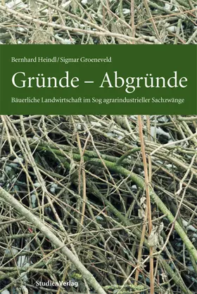 Heindl / Groeneveld |  Gründe - Abgründe | Buch |  Sack Fachmedien