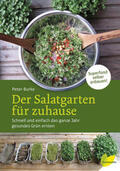 Burke |  Der Salatgarten für zuhause | Buch |  Sack Fachmedien