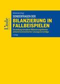 Schausberger-Strobl / Rohatschek / Hofbauer |  Sonderfragen der Bilanzierung in Fallbeispielen | Buch |  Sack Fachmedien