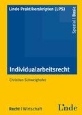 Schweighofer / Hauser |  Individualarbeitsrecht | Buch |  Sack Fachmedien