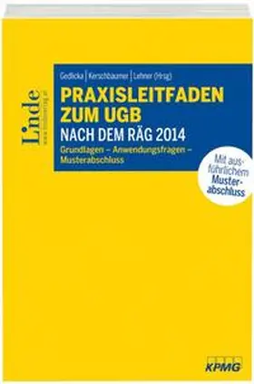 Buchberger / Dam-Ratzesberger / Geirhofer |  Praxisleitfaden zum UGB nach dem RÄG 2014 | Buch |  Sack Fachmedien