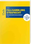 Steininger |  Fallsammlung Strafrecht | Buch |  Sack Fachmedien
