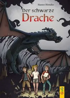Hörndler | Der schwarze Drache | Buch | 978-3-7074-2421-8 | www.sack.de