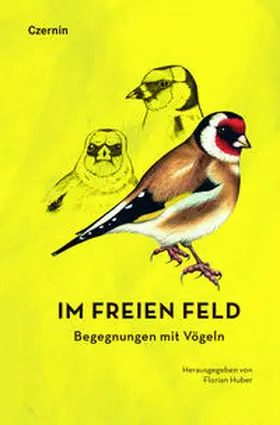 Huber | Im freien Feld | Buch | 978-3-7076-0694-2 | www.sack.de