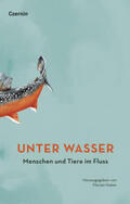 Huber |  Unter Wasser | Buch |  Sack Fachmedien