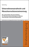 Kathollnig |  Unternehmensstrafrecht und Menschenrechtsverantwortung | Buch |  Sack Fachmedien