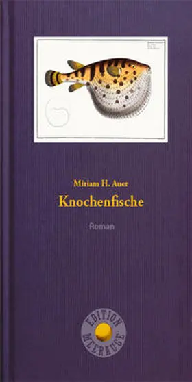 Auer |  Knochenfische | Buch |  Sack Fachmedien