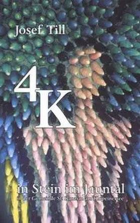 Till |  4 K in Stein im Jauntal | Buch |  Sack Fachmedien