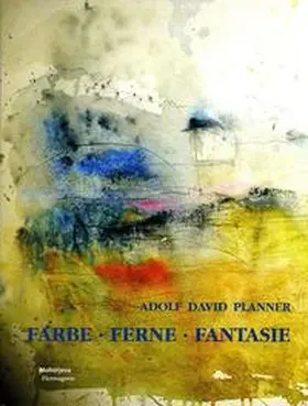 Steiner |  Adolf David Planner | Buch |  Sack Fachmedien